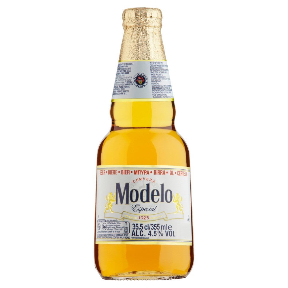 MODELO ESPECIAL